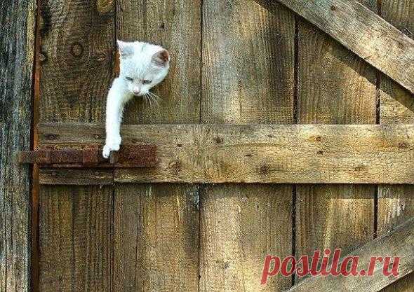 Умничка :)