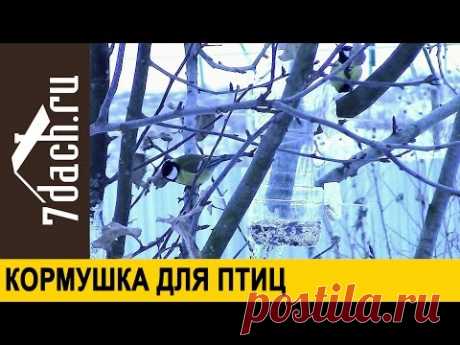 Кормушка для птиц из бутылки - 7 дач
