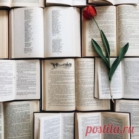 чтение, атмосфера книг, атмосфера чтения, книжные страницы, бумажная книга, спокойствие, равновесие, эстетика книг, книжные миры, погружение в литературу, интересные истории