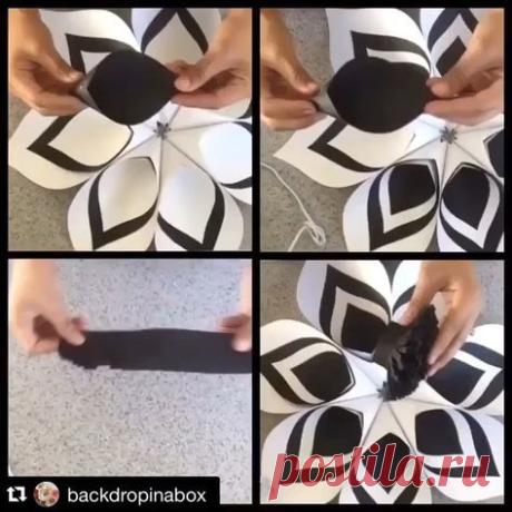 Imagini pentru backdropinabox