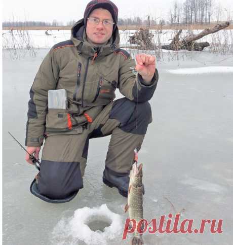 Балансир в коряжнике  
Прошлой зимой хищная рыба вела себя очень капризно – задача поимки хороших щуки и окуня на балансир оказалась невероятно сложной. Наверняка это было как-то связано с непостоянством прошлогодней пого…