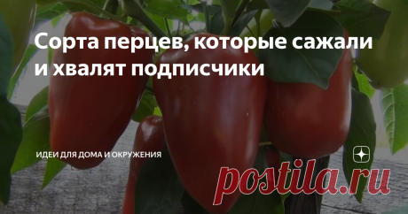 Сорта перцев, которые сажали и хвалят подписчики Отзывы читателей о сортах, выращенных ими