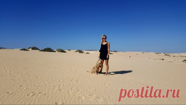 — Как выглядит твой рабочий день?
— Достаточно уныло. 90% моего времени — это клавиатура