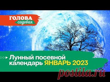 Голова садовая - Лунный посевной календарь ЯНВАРЬ 2023