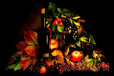 Ручной пресс для отжима сока - Журнал полезных советов