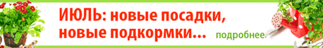 Дрожжи – отличное удобрение для растений