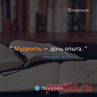 7Вопросов “ Мудрость — дочь опыта. “ © Леонардо да Винчи
