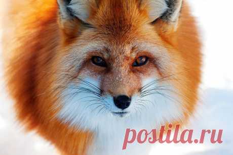 Мой Мир@Mail.Ru