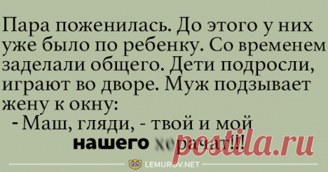 Свежие анекдоты для отличного настроения - Ok'ейно.top