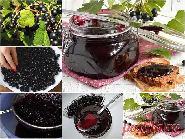 Желе на зиму из черной смородины 
Желе получается очень вкусным и хорошо хранится.
Аналогичным способом можно приготовить желе из красной смородины. 
Ингредиенты: 
- 1 кг черной смородины,
- 1,5 кг сахара,
- 200 мл воды. 
Приготовление: 
1. Ягоды перебрать, удалить веточки и листья. 
2. Всыпать чистые ягоды в емкость для варки. Влить 200 мл воды. Довести до кипения и варить в течении нескольких минут. 
3. Протереть ягоды через сито. 
4. Перемешать протертые ягоды с сахаром...