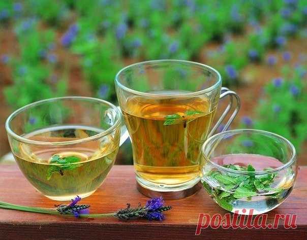 Вот как можно защититься от инсульта народными методами 
Товарищи дачники! Есть хорошая поговорка: готовь сани летом, а телегу – зимой. К чему я это? К тому, что готовиться к следующему дачному сезону надо уже сейчас.

Майский инсульт врачи так и прозвали …