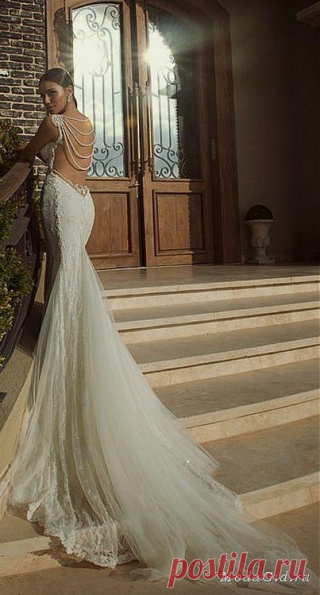 large_galia-lahav