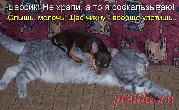 ТРЕВОЖНЫЙ СОН...