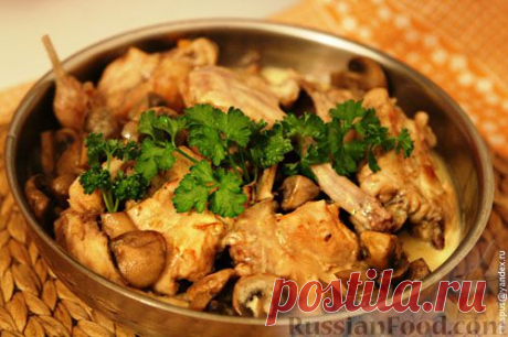50 вкусных блюд из кролика