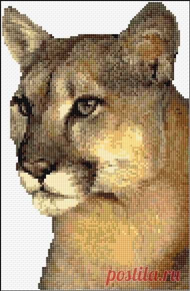 Найдено на сайте cross-stitch-pattern.net.