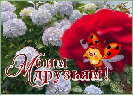 Милая открытка моим друзьям, с божьей коровкой