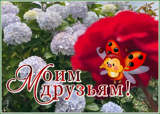 Милая открытка моим друзьям, с божьей коровкой