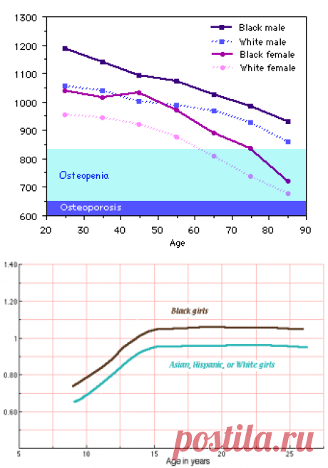 Bones in different races

NB: MEASUREMENT UNITS FOR BONE DENSITY