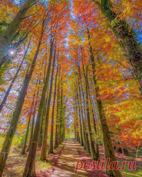 Скоро осень ...