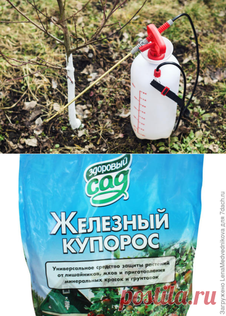 Для чего и как применяется в саду железный купорос | 6 соток