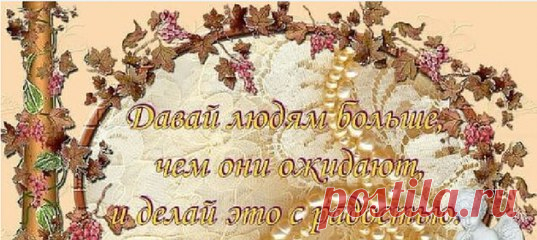 Елена Петряшова