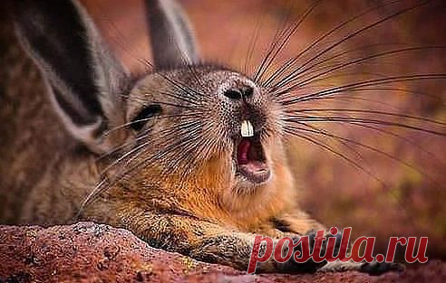 ооо не нет нет))