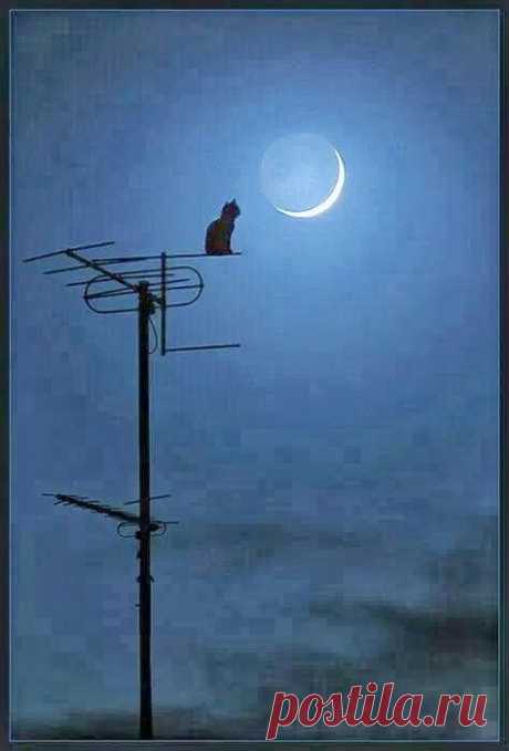 Pinterest