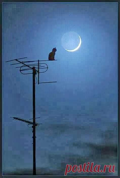 Pinterest