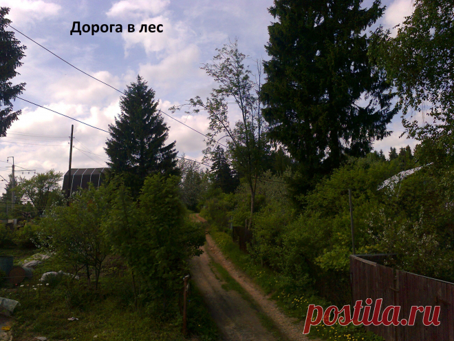 наши тротуары...