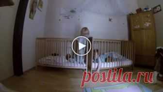 По ночам из спальни дочерей доносился подозрительный шум