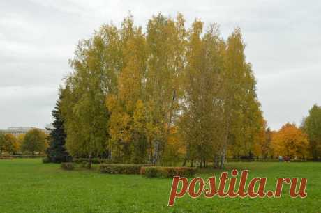 Урок 1: Знакомство с фотокамерой.Домашние задания / Fotoshkola.net