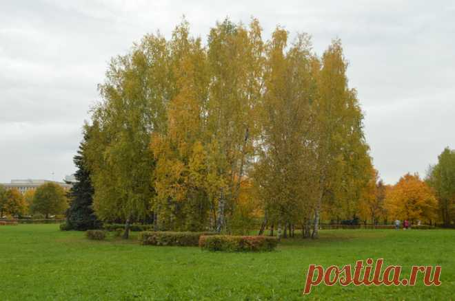 Урок 1: Знакомство с фотокамерой.Домашние задания / Fotoshkola.net