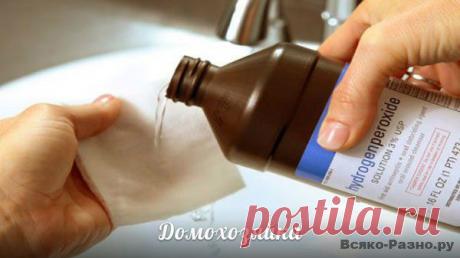 ДОМОХОЗЯЙКА