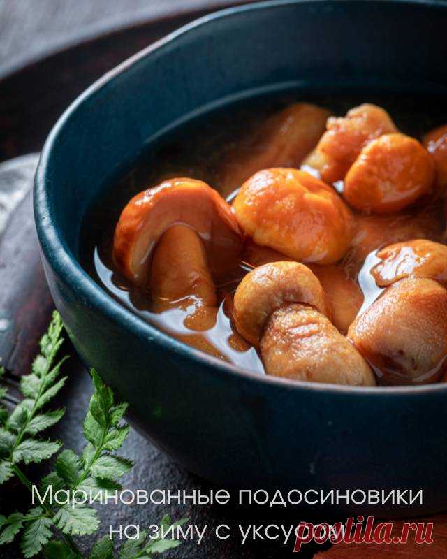 Маринованные подосиновики на зиму с уксусом — Домашние заботы