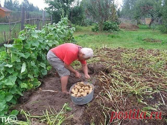 (82) Одноклассники
