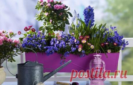 Дача на балконе: 7 шагов к загородному стилю