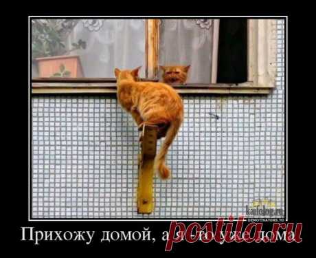 Слив засчитан