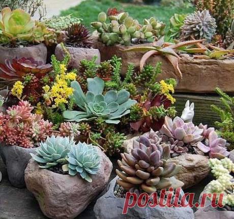 Все своими руками