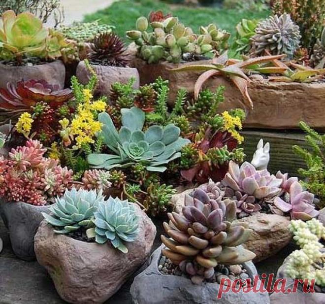 Все своими руками