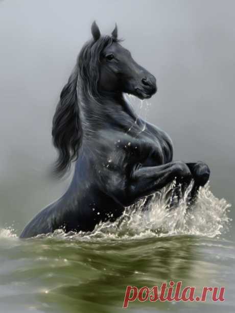 - фотографии - Светлана Наумович - конники - equestrian.ru