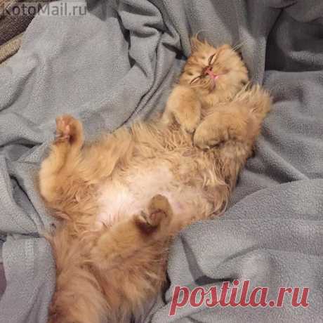 Солнечный лучик