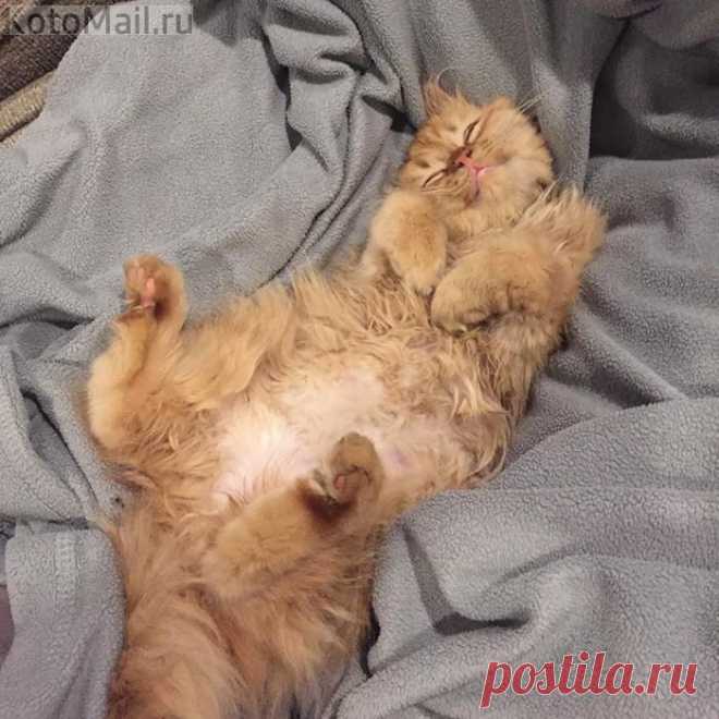 Солнечный лучик