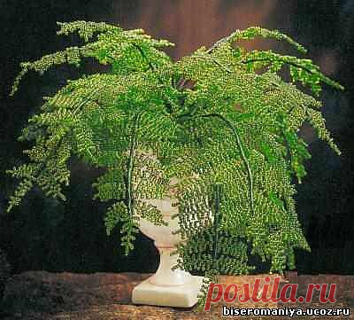 Папоротник - 13 Декабря 2010 - Бисеромания