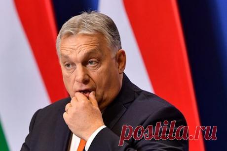 Венгрия обвинила Украину в дискриминации национальных меньшинств. Премьер-министр Венгрии Виктор Орбан заявил, что в 2015 году на Украине забрали права у национальных меньшинств и постоянно дискриминируют более 100 школ. «До 2015 года в Украине была система, которая создавала порядок и прекрасно удовлетворяла все живущие там меньшинства, в том числе венгерское», — отметил он.