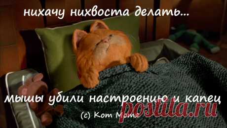 Блог Кота Моти.
Бойтесь тех, кто хочет убить вашу душу . Не жалейте врагов , наших предков и нас никто не жалел . Кто не с нами - тот против нас . Война им ! За всех , от начала русских времен .

Все умрут , а мы останемся ... и будем песни петь ...