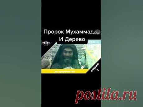 История пророка Мухаммад с а.в🤲🤲🤲