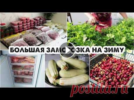 СЕЗОННАЯ ЗАМОРОЗКА НА ЗИМУ❄️ЯГОДЫ, ОВОЩИ, ЗЕЛЕНЬ ЗАГОТОВКА ОВОЩЕЙ НА ЗИМУ...