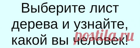 Выберите лист дерева и узнайте, какой вы человек!
Выберите лист дерева и узнайте, какой вы человек! Перед вами шесть разных типов листов, вам нужно посмотреть на них и выбрать тот, который вам больше всего подходит. 1. Честный и эмпатический Честность — это самое важное, что нужно каждому человеку, и по этой причине вы всегда остаетесь в соответствии с самим собой: подлинным, естественным и […]
Читай дальше на сайте. Жми подробнее ➡