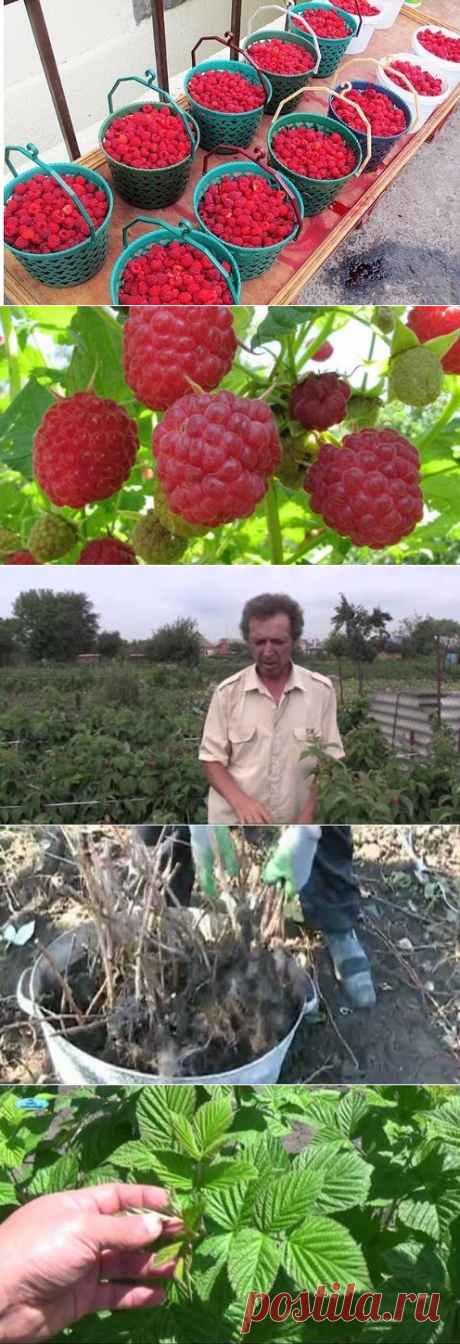 (83) Одноклассники