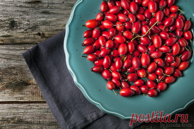 Fruit in Photography: Delicious and Creative Examples - Stockvault.net Blog